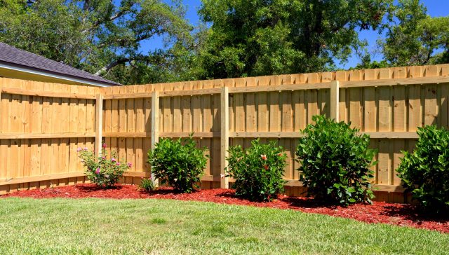 Privacy fence installed along a backyard lawn.